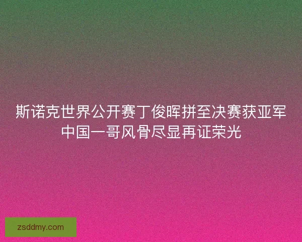 斯诺克世界公开赛丁俊晖拼至决赛获亚军中国一哥风骨尽显再证荣光